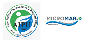 aipu micromar